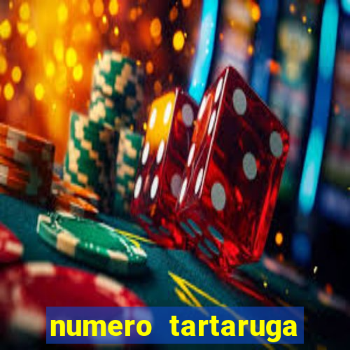 numero tartaruga jogo do bicho